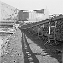 souvenirs en noir et blanc (646)